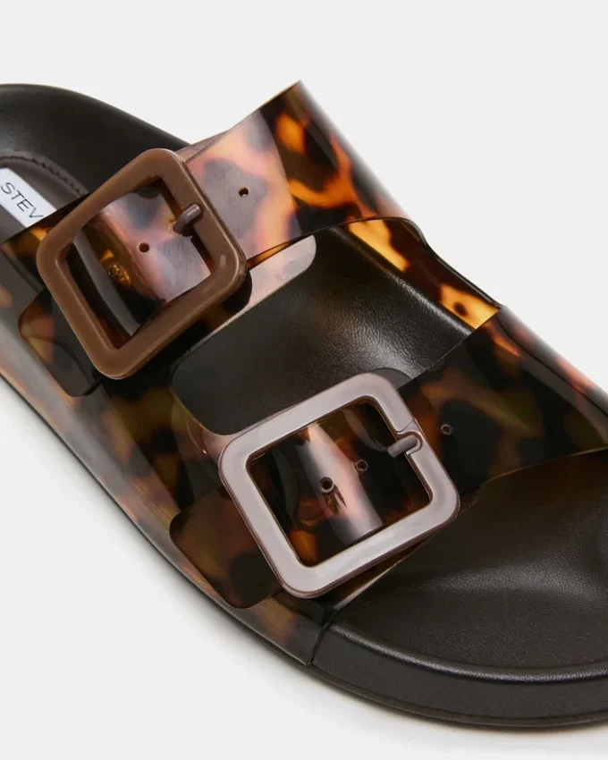 Abott Tortoise Abott Tortoise