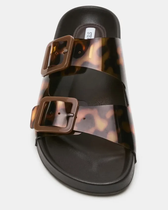 Abott Tortoise Abott Tortoise