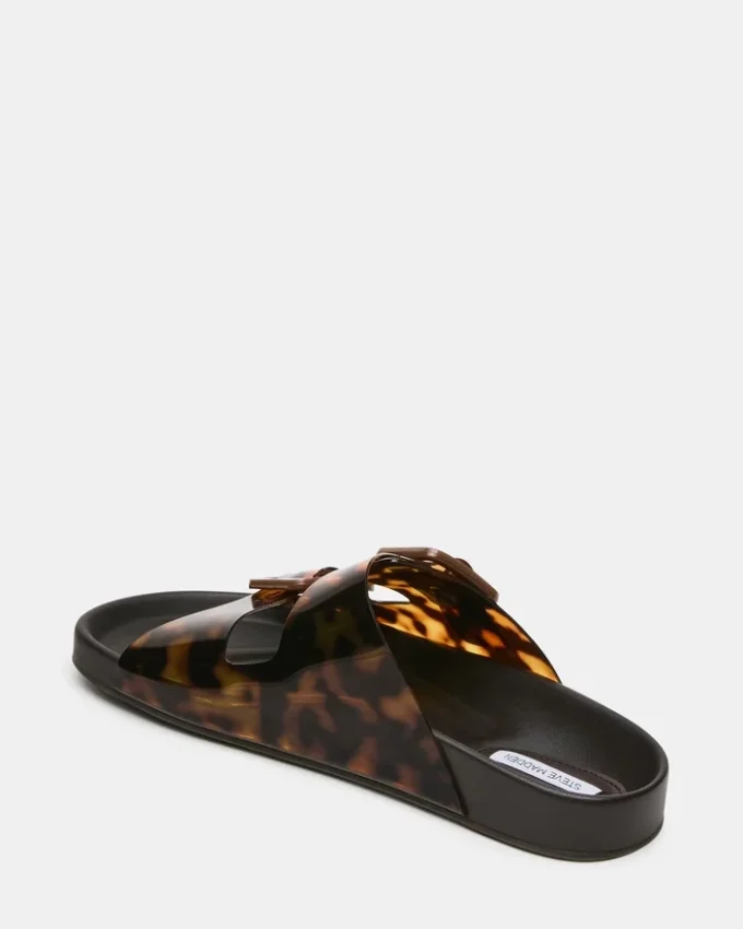 Abott Tortoise Abott Tortoise