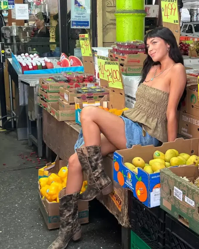 Albany Brown Distressed Albany Brown Distressed