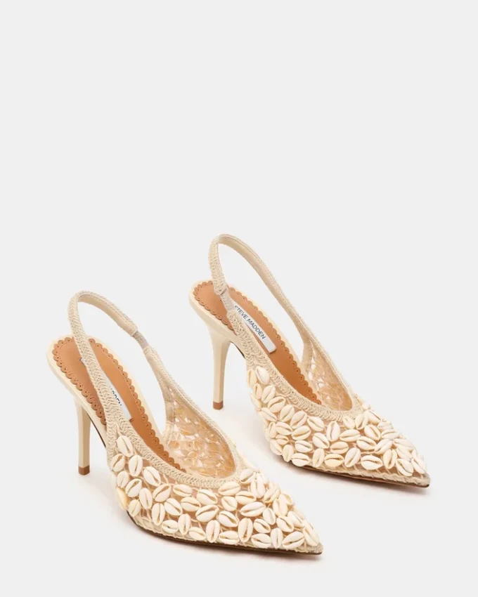 Andromeda Shell Natural Andromeda Shell Natural