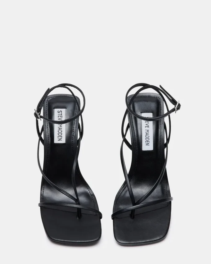 Annie Black Annie Black