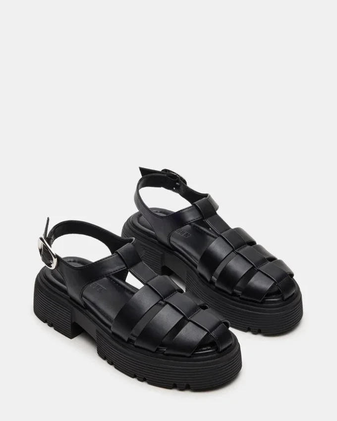 Bass Black Bass Black