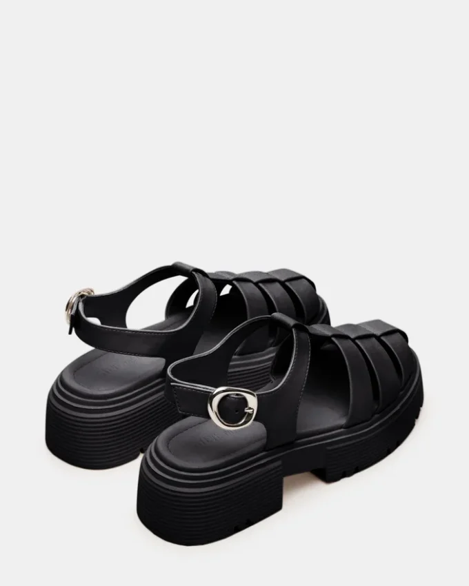 Bass Black Bass Black