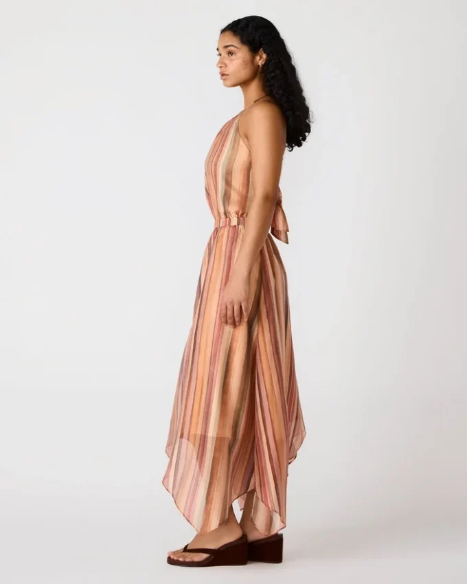 Dalina Dress Stripe Multi