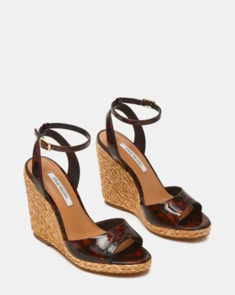 Devin Tortoise Devin Tortoise