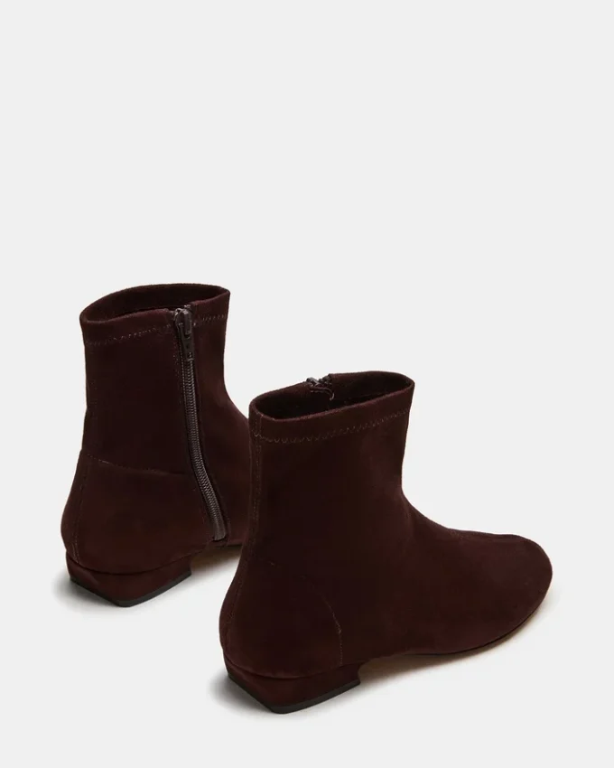 Finch Brown Finch Brown