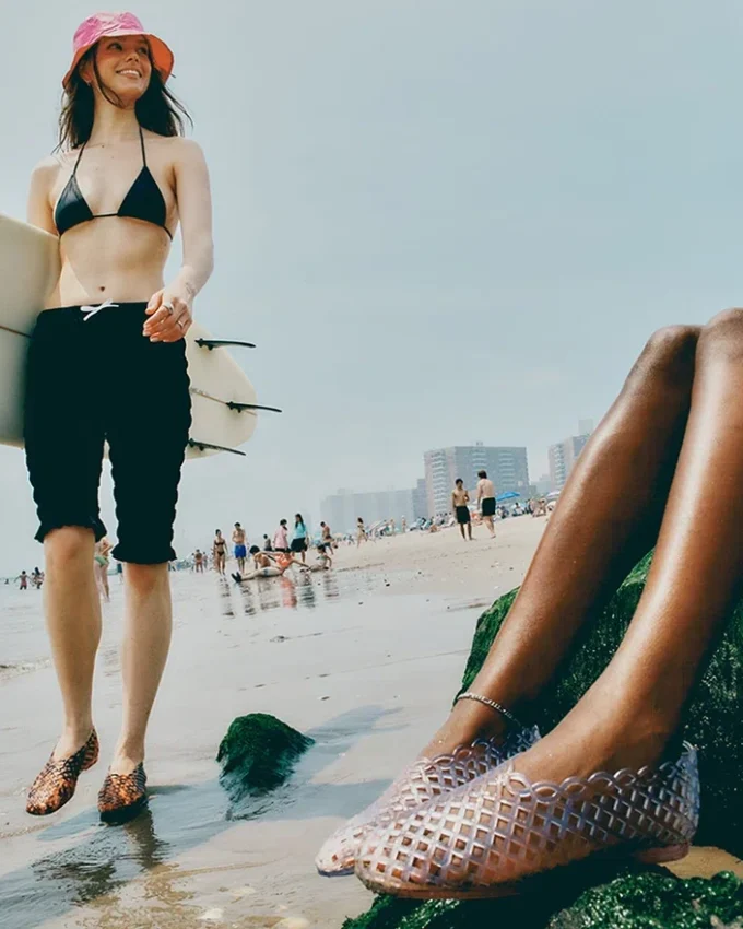 Grove Tortoise Grove Tortoise