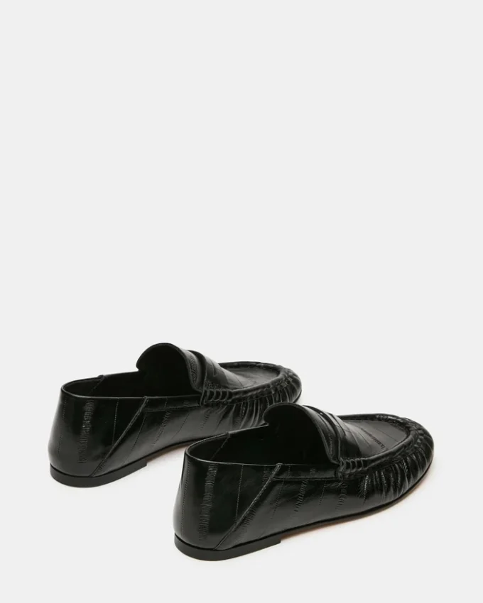 Roger Black Eel Roger Black Eel