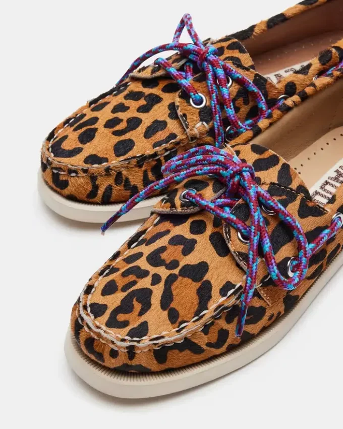 Sail Leopard Sail Leopard