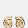 Seashell Shaped Earrings Gold Seashell Shaped Earrings Gold