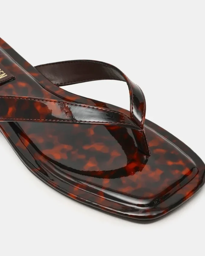 Trella Tortoise Trella Tortoise