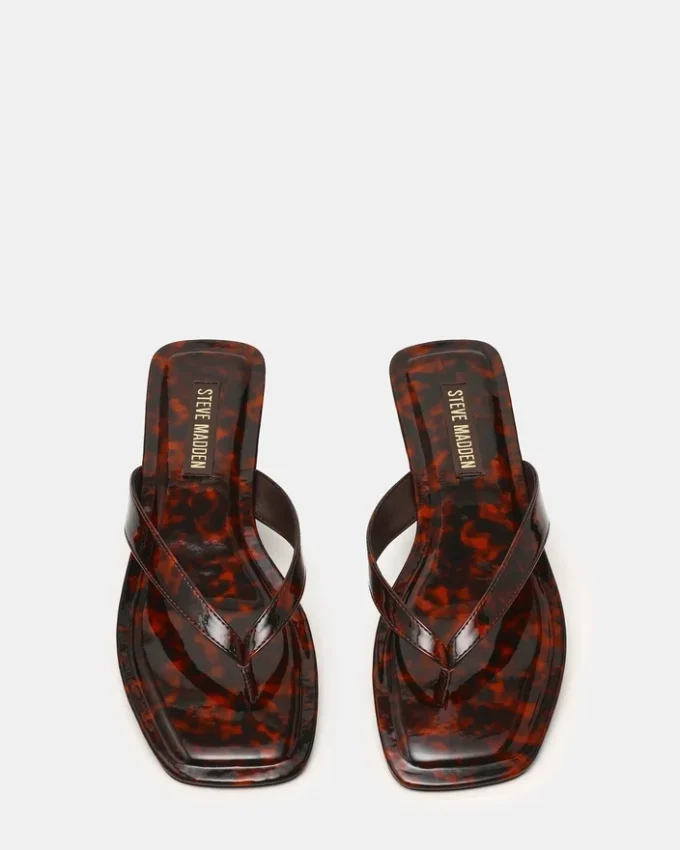 Trella Tortoise Trella Tortoise